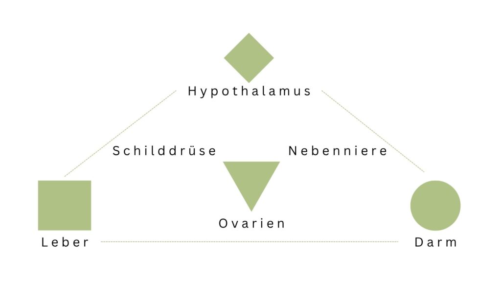 nadja-juric-begleitung-Praesi-Opening